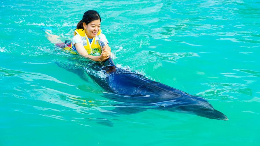 Marine Piazza Okinawa Hotel Мотобу Екстериор снимка