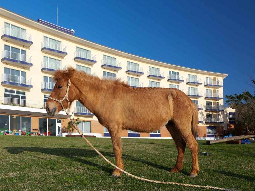 Marine Piazza Okinawa Hotel Мотобу Екстериор снимка